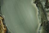 Polished Section of Blue Mountain Jasper - Oregon #227968-1